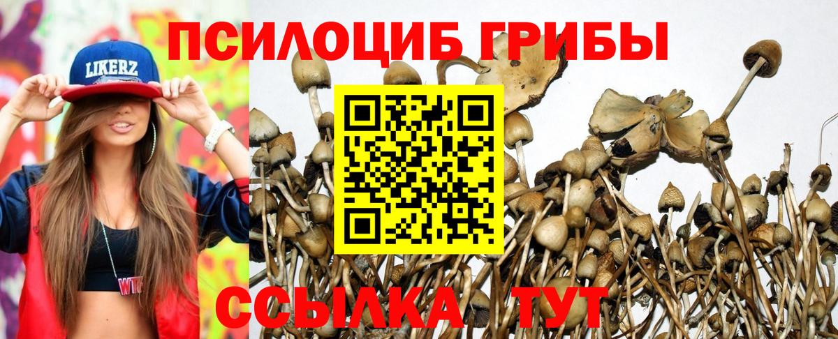 Галлюциногенные грибы мухоморы  Вход с VPN  Красногорск 